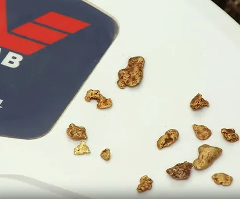 Detect Big Gold